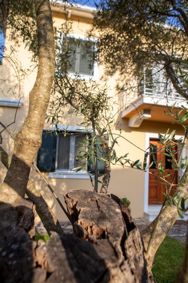 Vk Villas Απόλπαινα Εξωτερικό φωτογραφία