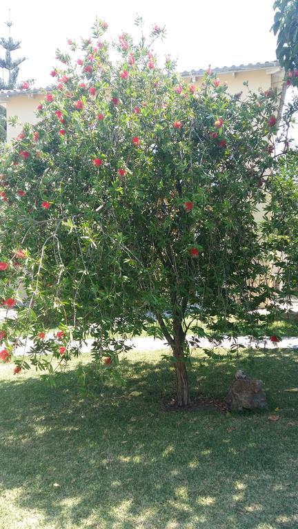 Vk Villas Απόλπαινα Εξωτερικό φωτογραφία